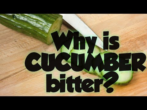 image-Why are my cucumbers bitter?
