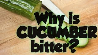 What makes cucumber bitter?