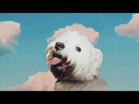 Moloko & Zivert - Бери it Back (Mashup)