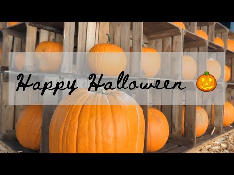 Wochendeko KW 44 2022 | Filofaxing | Happy Halloween | planerbeere