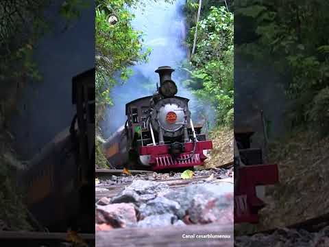 🇧🇷  Trem saindo do tunel / Train coming out of tunnel - Apiúna/SC - 2023 -  (Brasil) #shorts
