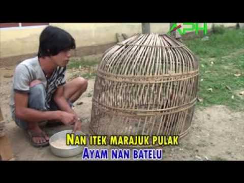 LAGU LAWAK JAMBI - PUDAI - DI PAINAU BINATANG - [Official Music Video - APH]