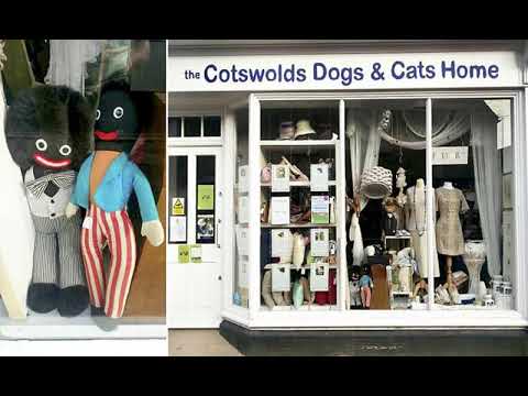 Outrage as 'racist' golliwogs are put on display in the window of RSPCA affiliated charity shop