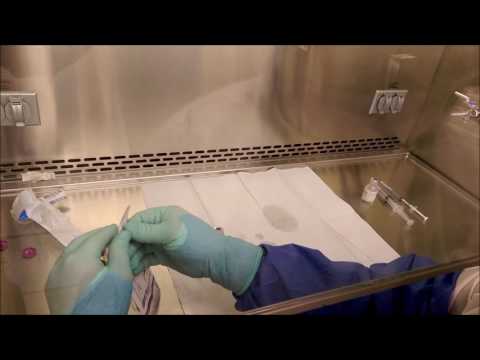 Battle Glascock-Demonstration 4: Aseptic Technique in a Vertical Laminar Flow Hood