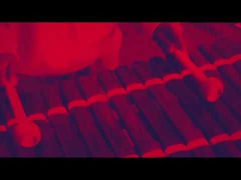 Phil Gary/pp69/Furiouspianos AfricaSpace (elektro)