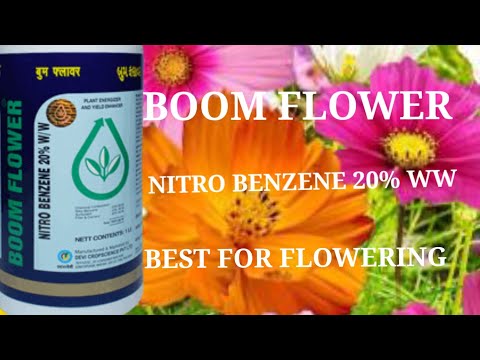 BOOM FLOWER(Nitro Benzene 20%w/w)