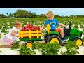 Chris And Alice Learn To Harvest Berries At The Farm
