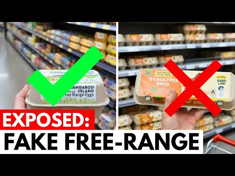 7 TOXIC Aussie Egg Brands You're Probably Buying Right Now (2 Actually Safe)