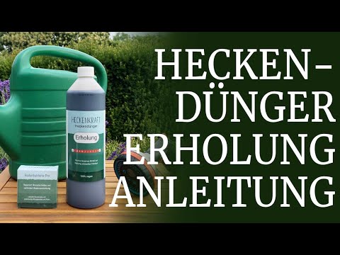 Kranke Hecke regenerieren: Anleitung für unsere Kombi-Sets (Kickstart & Erholung)