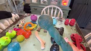 Dog toy review comparison durable toys extreme chewer - Kong