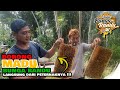 Original Honey Flower Randu 100 Thousand Per Bottle Contents 700 Grams Mr Sunar S Bee Harvest
