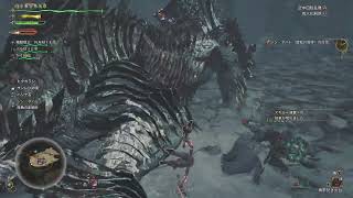 俺のモンハンバグったｗｗｗｗｗｗｗｗｗ