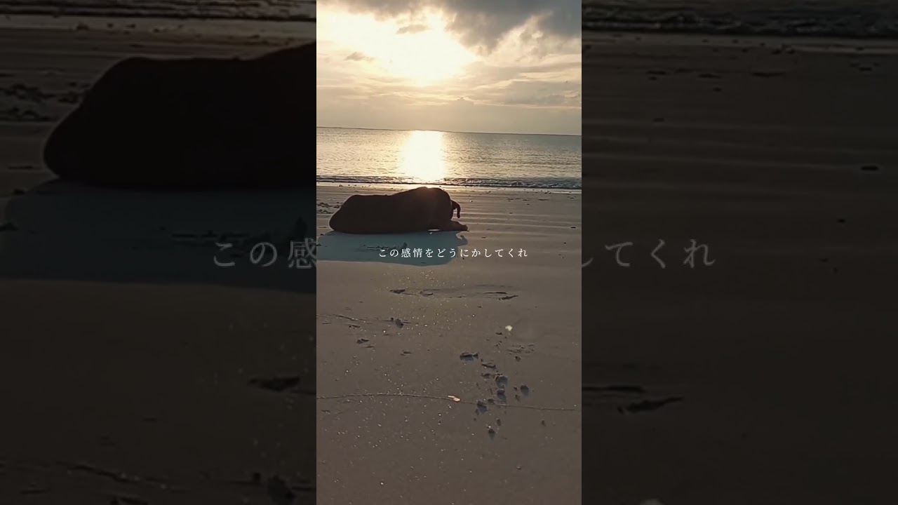 亡くなってから気づく大切さ。#歌詞動画 #泣ける曲 #オリジナル曲