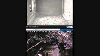 Both still here at 12:49 on 8-30-13