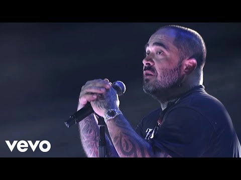 Staind - Something To Remind You (Live)