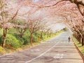 Ritsuko Okazaki (岡崎律子) - I'm Always Close to You ...