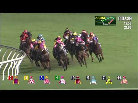 2/6/2021 (720) Amazing Rocky - Z Purton