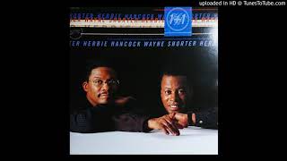 Herbie Hancock &amp; Wayne Shorter - Visitors From Somwhere