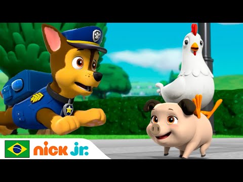 Capa de Patrulha Canina | Filhotes caçam os porquinhos! | Nick Jr. em Português
