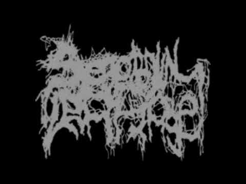 SxLx - II -V - (LDOH Cover) [FULLALBUM 2019]