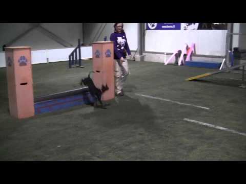 Merlin - rataohjausta