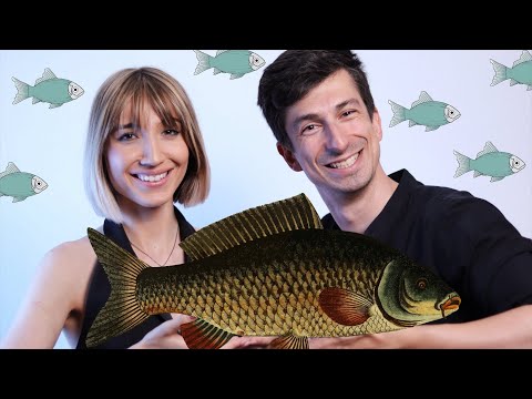 Șalău - Alex Stefanescu & Monica Odagiu  (cover dupa Shallow - Lady Gaga & Bradley Cooper)