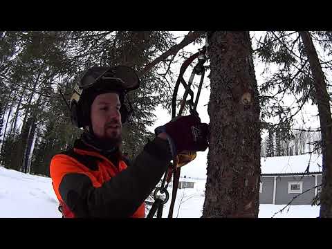 Metsolan Metsäkoulu 139 - Miten kiipeilyvarusteita käytetään