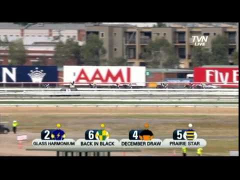2012 LKS Mackinnon Stakes - Alcopop