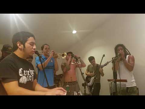 CEREBRO NEGRO 2017/08/05