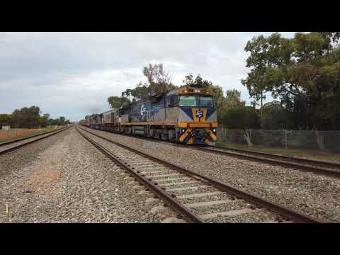 CF4410 + CSR004 +  SCT009 + CSR001