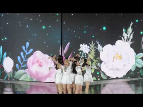 190518 2019 드림콘서트 오마이걸(OH MY GIRL) _ 다섯 번째 계절(The fifth season) 직캠