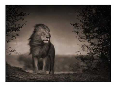 Buju Banton - Time & place