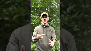 Alle Reviere jetzt teilnehmen am WILD Monitoring!