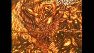 Perpetual Dusk  - Beyond The Ethereal Spheres Of Nocturnal Domain