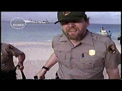 Bikini: paraíso prohibido