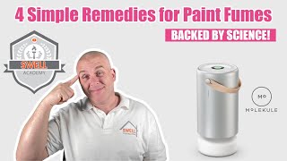 How to Get Rid of Paint Smell: 4 Simple Remedies For Paint Fumes Removal