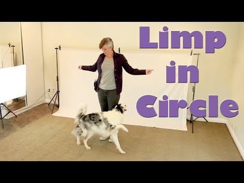 What is Clicker Training