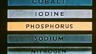 Can - One More Night