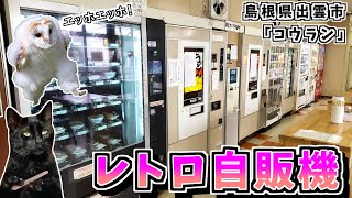 島根県出雲市のレトロ自販機で満腹になって来ました！【猫ミーム】