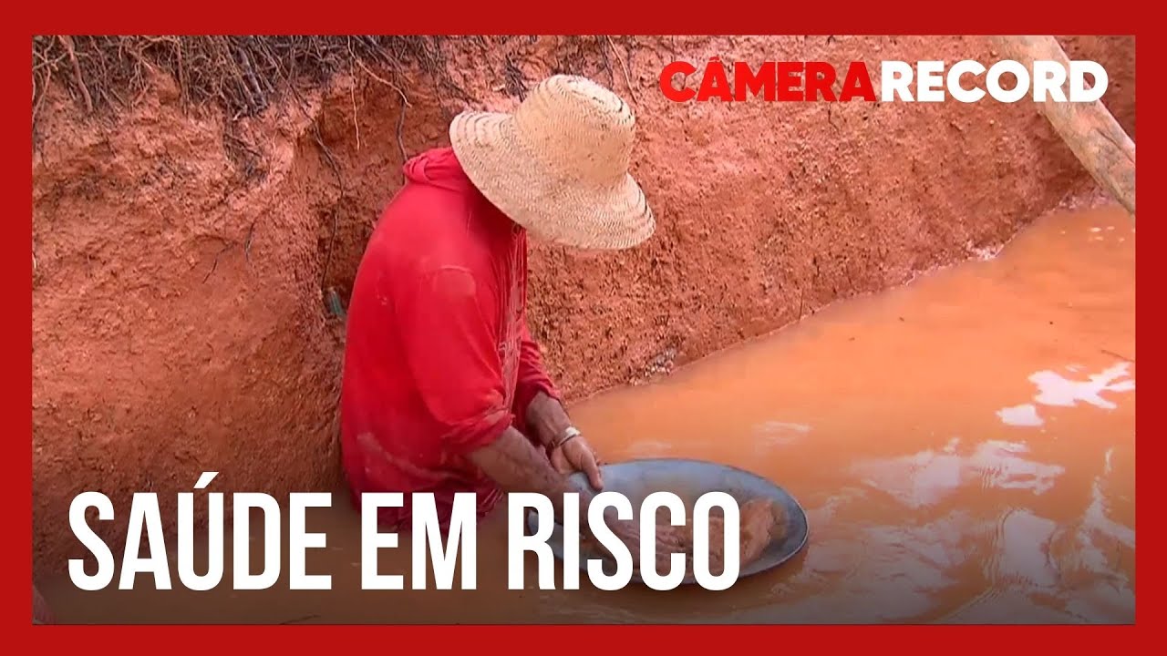 Garimpeiros colocam a saúde em risco nos garimpos ilegais | A Cidade do Ouro