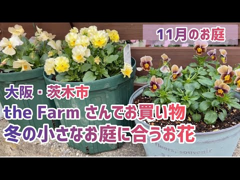 園芸 冬の農場の庭