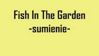 preview picture of video 'Fish In The Garden-sumienie-'