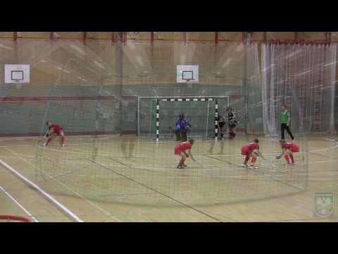DamenA  Post SV - Westend  2:1  (12.01.2014)