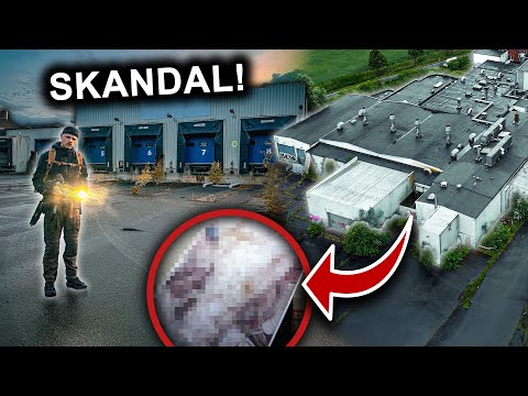 SCHWEINEHÖLLE VON NIEDERSACHSEN! EDEKA, TOD, CO2!