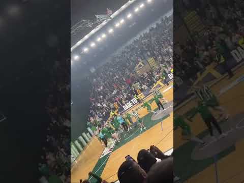 HC Pelister - HC Alkaloid 33:20 #handball #bitola #pelister #alkaloid #derby #macedonia