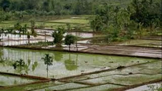 Download lagu degung kawih, Lermbur Kakasih - Nining Meida.wmv mp3 Download lagu degung kawih, Lermbur Kakasih - Nining Meida.wmv mp3