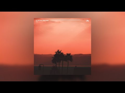 VLLN & ENLIV3N - Say