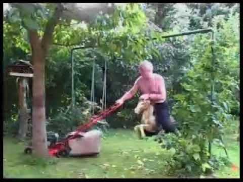 Holger Czukay - La Mowa