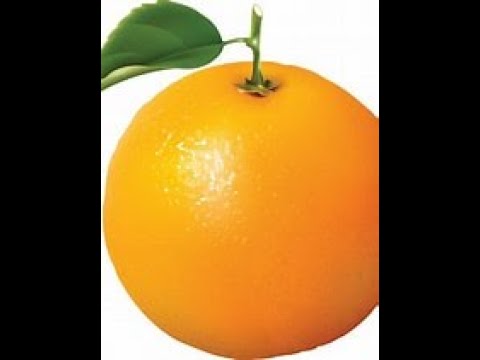 D.O MISIANI JOKA BIMBE