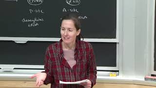 5. Protein Synthesis 4